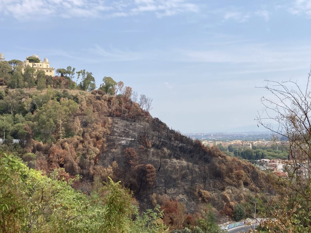 Monte Mario na de brand in Rome